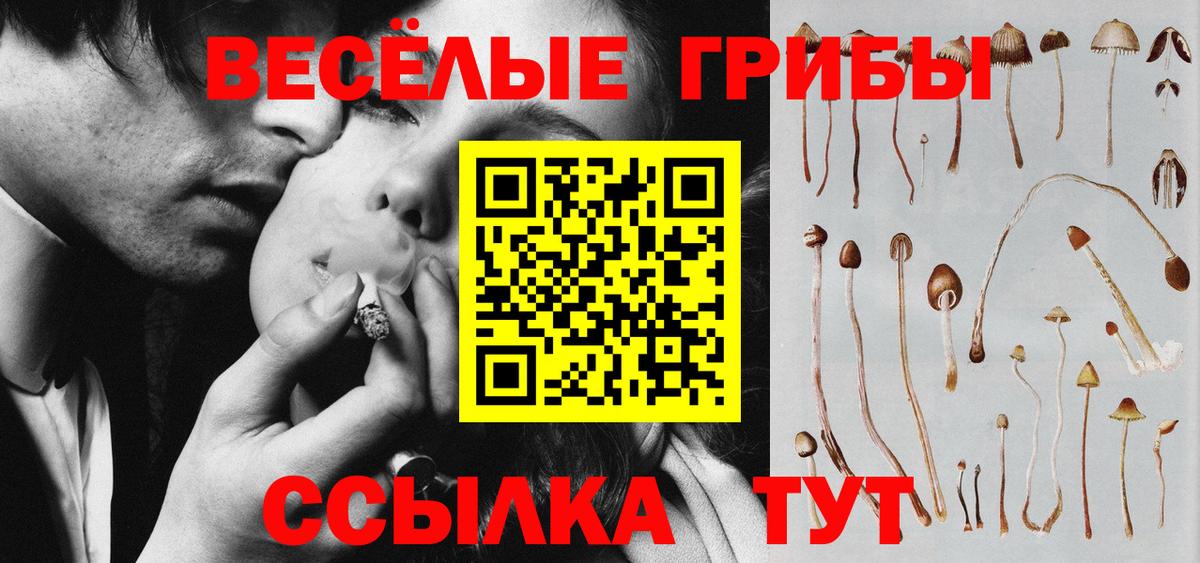 Гурьевск  Псилоцибиновые грибы MAGIC MUSHROOMS  Псилоцибиновые грибы Psilocybine cubensis  Вход с VPN 