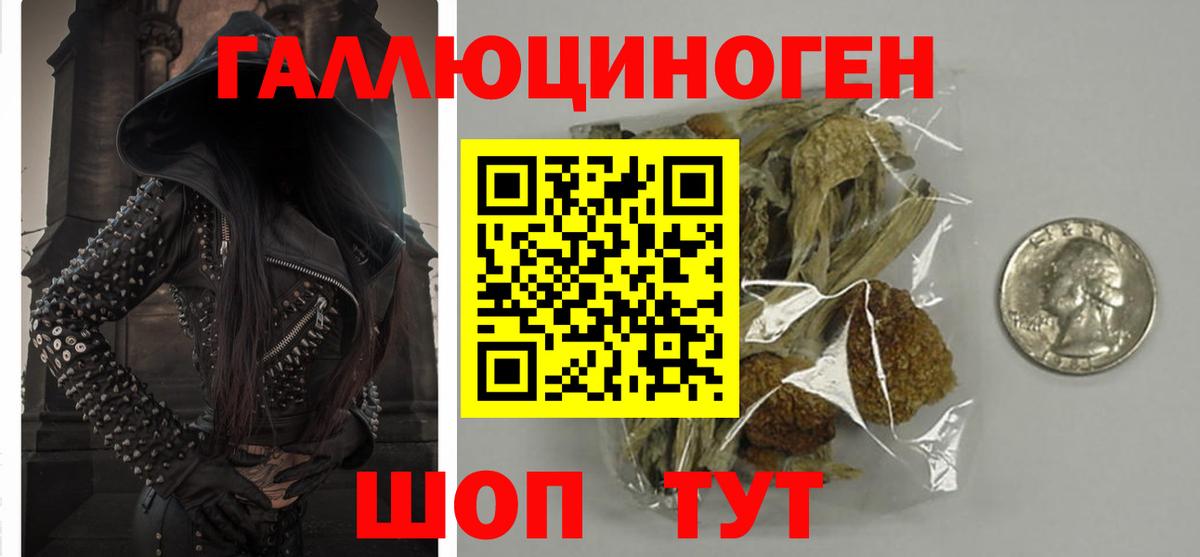 Псилоцибиновые грибы MAGIC MUSHROOMS Гурьевск